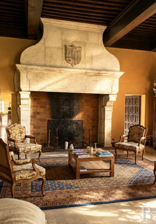 France mansions for sale rhones alps   - 8